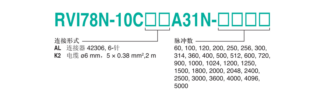 RVI78N-10CK2A31N-1000
